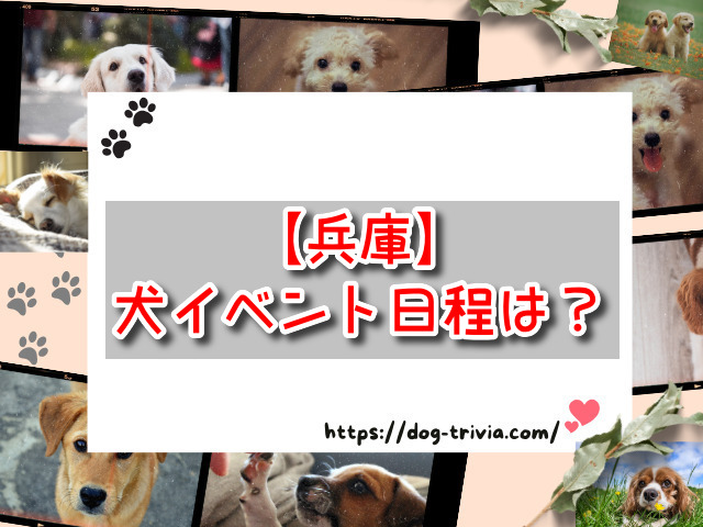 兵庫　犬イベント